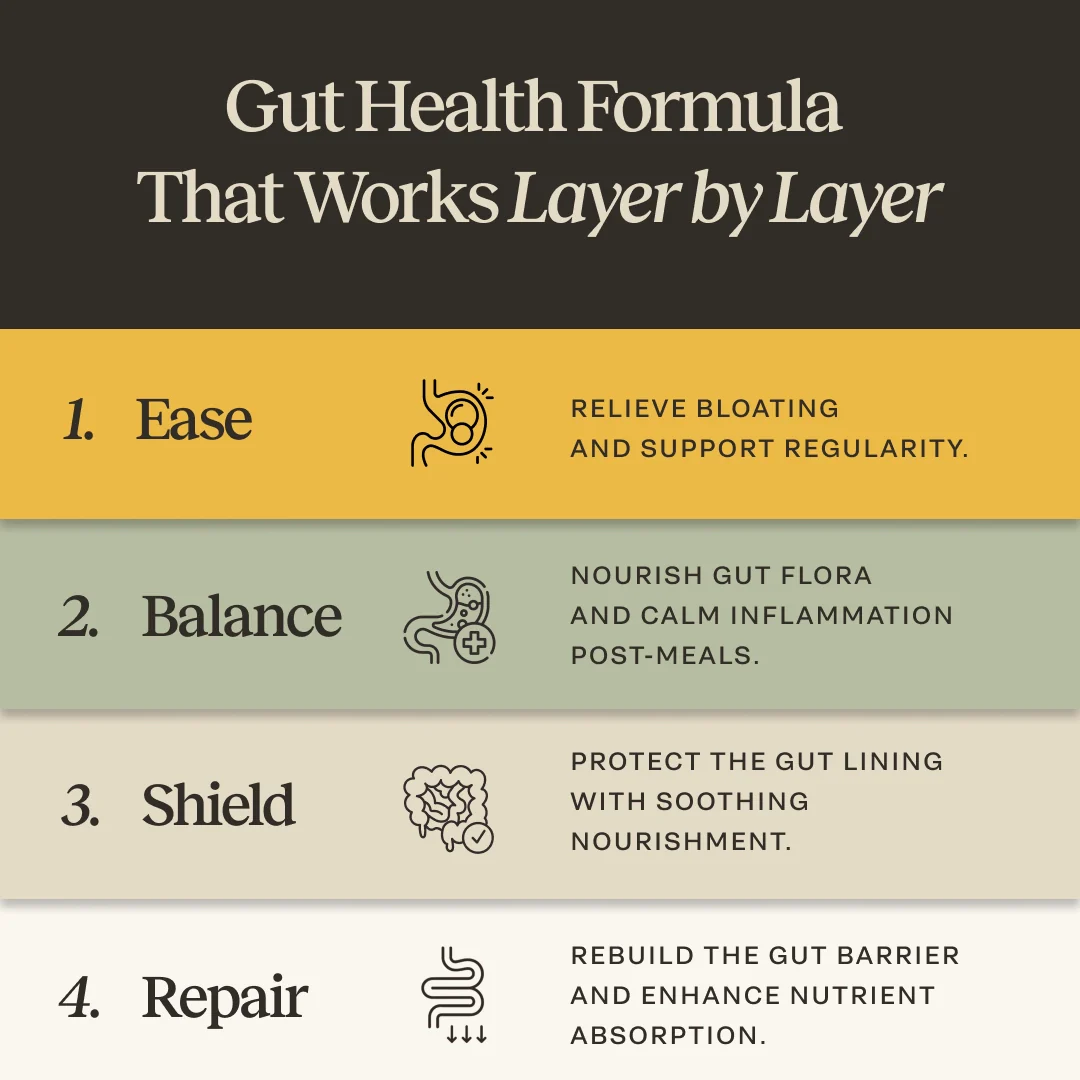 Daily Gut Support