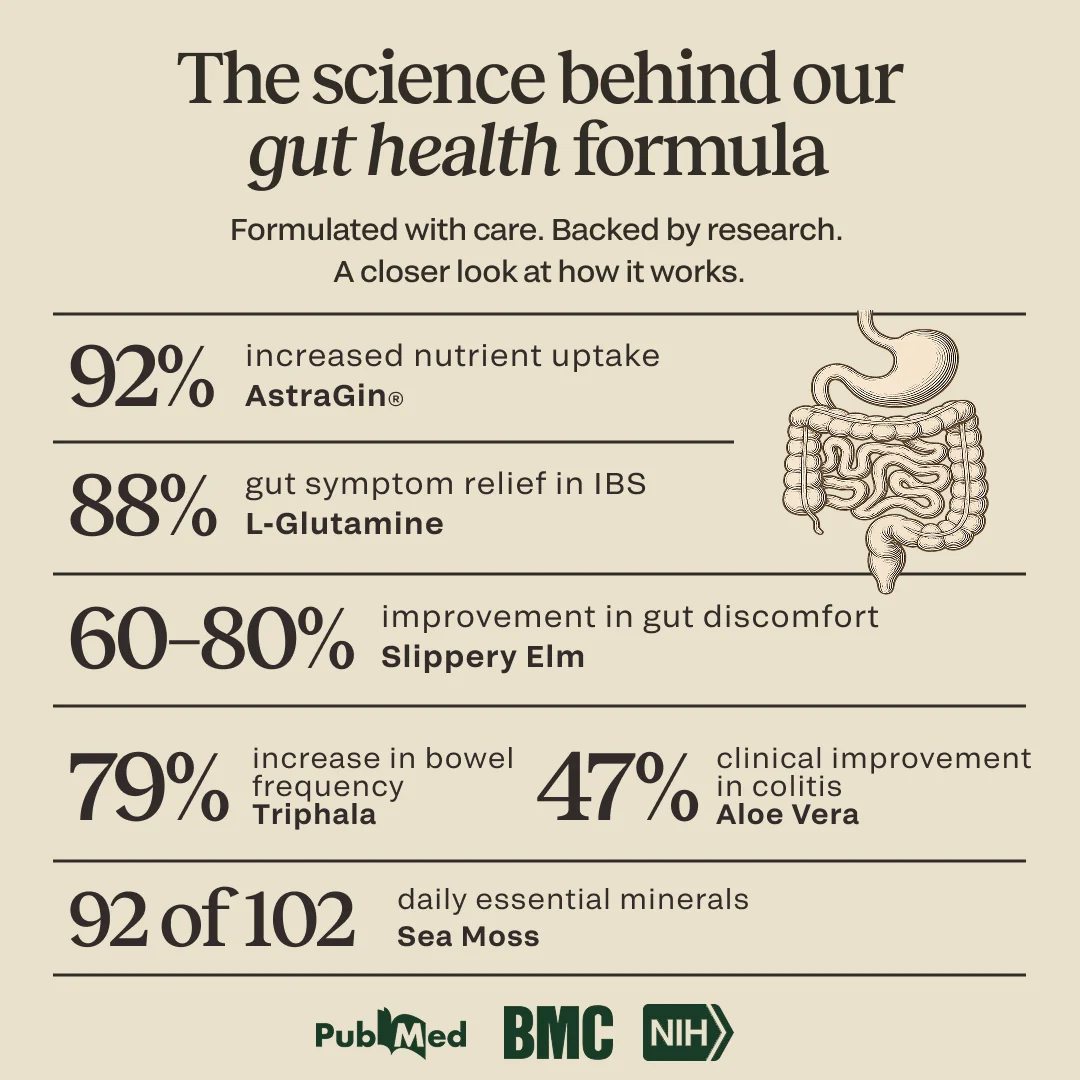 Daily Gut Support